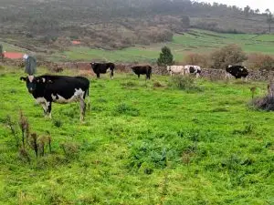 parque natural das serras de aire e candeeiros, trekking, caminhada, fornea, porto de mós, bezerra, corredoura, ndesafios, natureza e desafios,