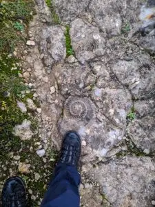 parque natural das serras de aire e candeeiros, trekking, caminhada, fornea, porto de mós, bezerra, corredoura, ndesafios, natureza e desafios,