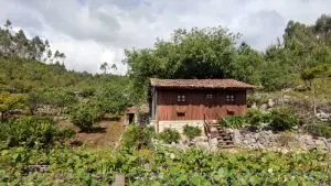 parque natural das serras de aire e candeeiros, trekking, caminhada, fornea, porto de mós, bezerra, corredoura, ndesafios, natureza e desafios,