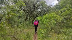 parque natural das serras de aire e candeeiros, trekking, caminhada, fornea, porto de mós, bezerra, corredoura, ndesafios, natureza e desafios,