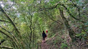parque natural das serras de aire e candeeiros, trekking, caminhada, fornea, porto de mós, bezerra, corredoura, ndesafios, natureza e desafios,