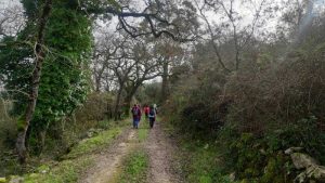 arrimal, lua, candeeiros, aire, ndesafios, natureza e desafios, trekking, caminhada, montanhismo,