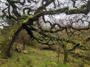 arrimal, lua, candeeiros, aire, ndesafios, natureza e desafios, trekking, caminhada, montanhismo,