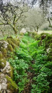 arrimal, lua, candeeiros, aire, ndesafios, natureza e desafios, trekking, caminhada, montanhismo,