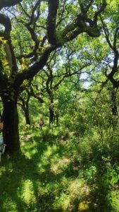 arrimal, lua, candeeiros, aire, ndesafios, natureza e desafios, trekking, caminhada, montanhismo,