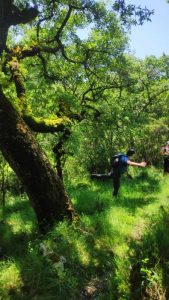 arrimal, lua, candeeiros, aire, ndesafios, natureza e desafios, trekking, caminhada, montanhismo,