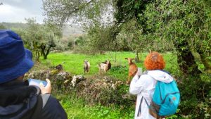 arrimal, lua, candeeiros, aire, ndesafios, natureza e desafios, trekking, caminhada, montanhismo,