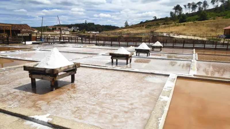 salinas de rio maior, sal, azeite, fonte da bica, caminhada, trekking, natureza e desafios, ndesafios,