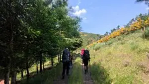 serra da estrela,
