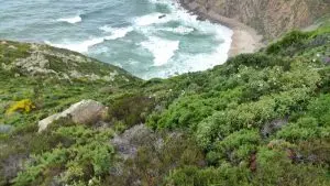 roca3