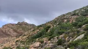 roca4