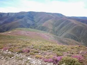 drave, caminhada,