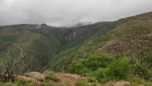 mizarela
