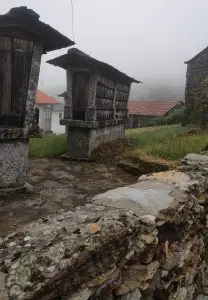 mizarela