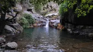 drave, caminhada,