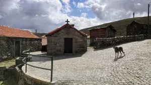 mizarela
