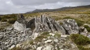 mizarela