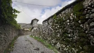 mizarela