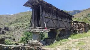 drave, caminhada,
