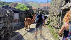 incas, fraguinha, serra da coelheira, montanhas mágicas,