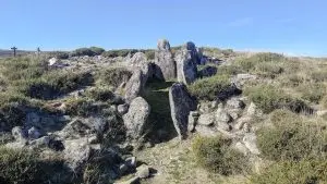 mizarela