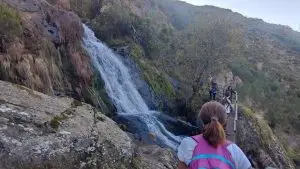 mizarela