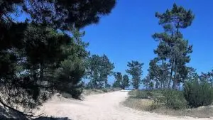 mata dos medos, lagoa de albufeira,
