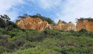 mata dos medos, lagoa de albufeira,