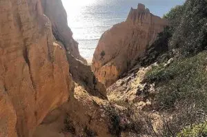 mata dos medos, lagoa de albufeira,