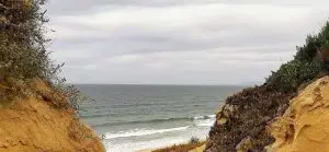 mata dos medos, lagoa de albufeira,
