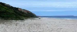 mata dos medos, lagoa de albufeira,