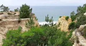 mata dos medos, lagoa de albufeira,