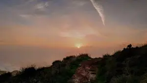 snt17 (1)