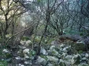 serra de olelas, caminhada,