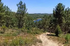sintra, serra de sintra, caminhar, trekking, ndesafios, natureza e desafios,