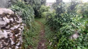 IMG_20221022_171428