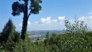 Monserrate, caminhada, ndesafios, natureza e desafios, sintra,