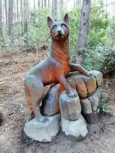 Monserrate, caminhada, ndesafios, natureza e desafios, sintra,