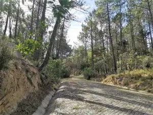 Monserrate, caminhada, ndesafios, natureza e desafios, sintra,