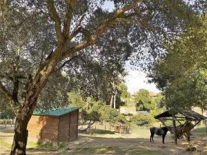 Monserrate, caminhada, ndesafios, natureza e desafios, sintra,