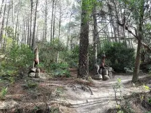 Monserrate, caminhada, ndesafios, natureza e desafios, sintra,