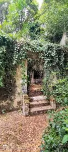 Monserrate, caminhada, ndesafios, natureza e desafios, sintra,