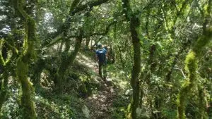 montejunto, caminhada,