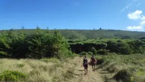 montejunto, caminhada,