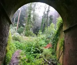 janes, sintra, caminhada, trekking,