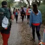 vale da amazónia, pirilampos,