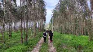 serra do socorro, socorro, caminhada, trekking,