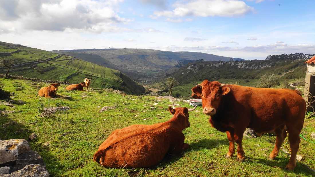 castelejo, trekking, caminhada, candeeiros, alvados, fornea, ndesafios, natureza e desafios,