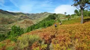 serra da estrela, torre, unhais da serra,