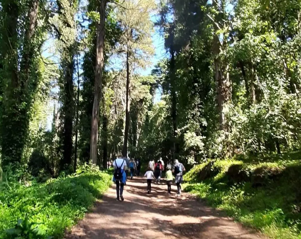 sintra,
